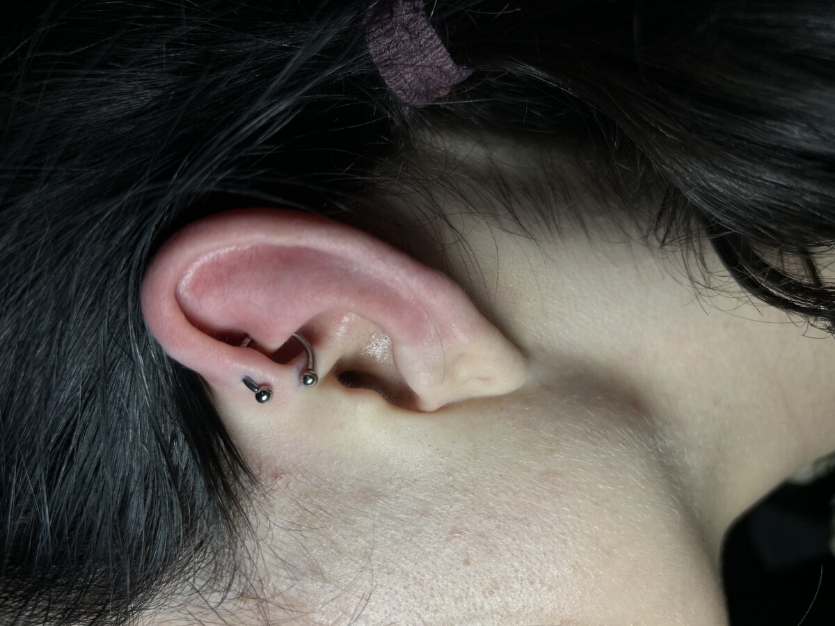 Piercing ucha rook – Rojo, More Life Tattoo Gniezno